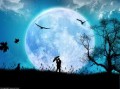 LA LUNA LLENA Y EN TU VIDA SENTIMENTAL hechizos, amor, amarres, gratis, hechizos de amor, amarres de amor, conjuros de amor, sortilegios, brujería de amor, magia blanca, magia negra, videntes, recuperar un amor perdido, conseguir un amor imposible, vudu del amor, vudu amoroso, brujería amorosa, amarre de matrimonio, medium del amor